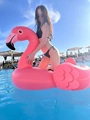 Darina Агентство 19 років - 0933539228, анкета vip-popki.net